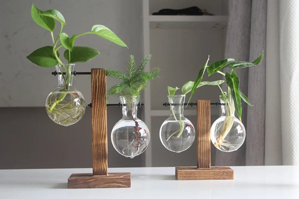 Vaso De Bulbo Transparente Com Suporte De Madeira