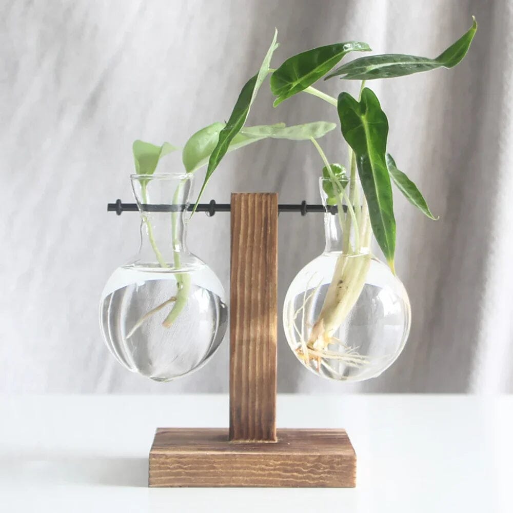 Vaso De Bulbo Transparente Com Suporte De Madeira