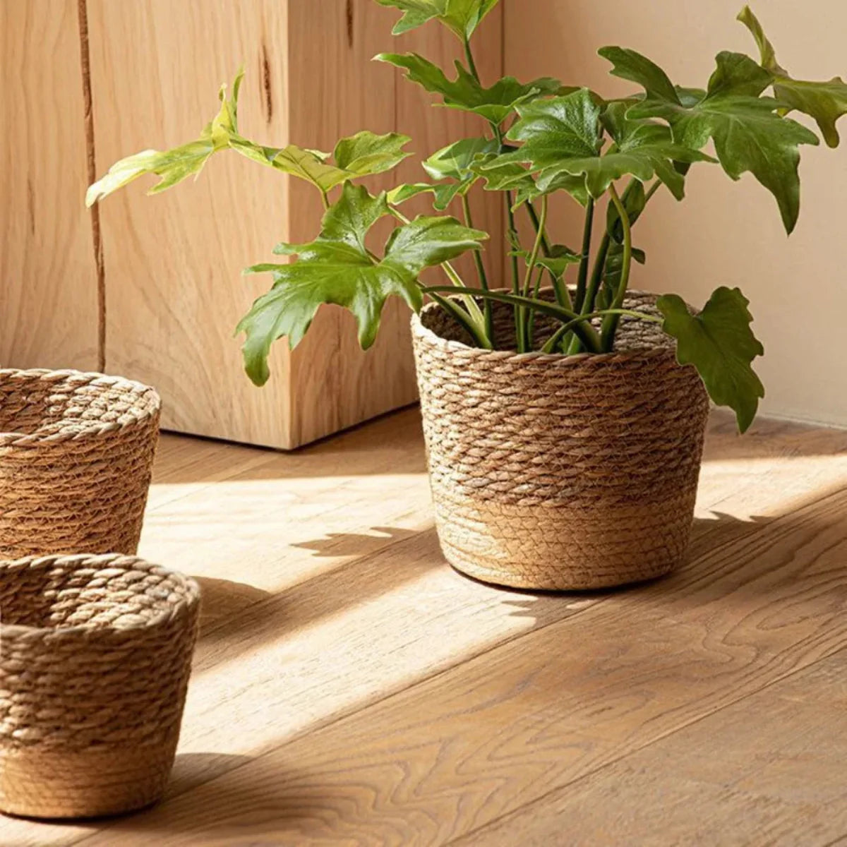 Cachepot de Rattan Natural Artesanal