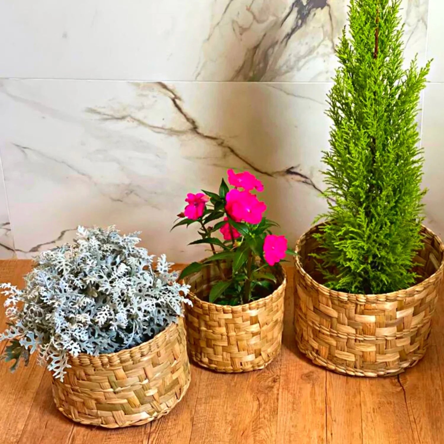 Kit de Vaso Cachepot Natural - 3 Peças